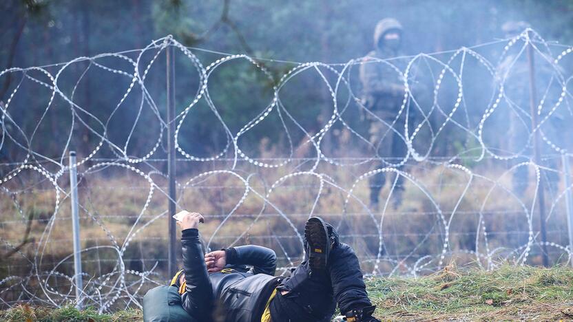 Nelegalūs migrantai Lenkijos ir Baltarusijos pasienyje