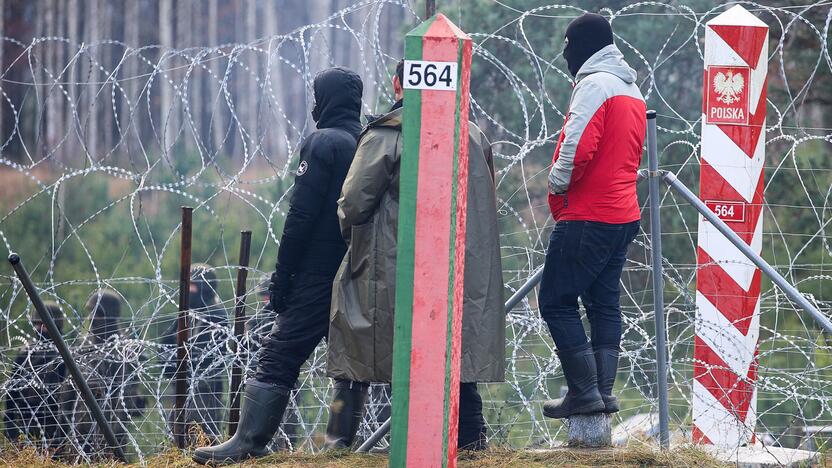 Nelegalūs migrantai Lenkijos ir Baltarusijos pasienyje