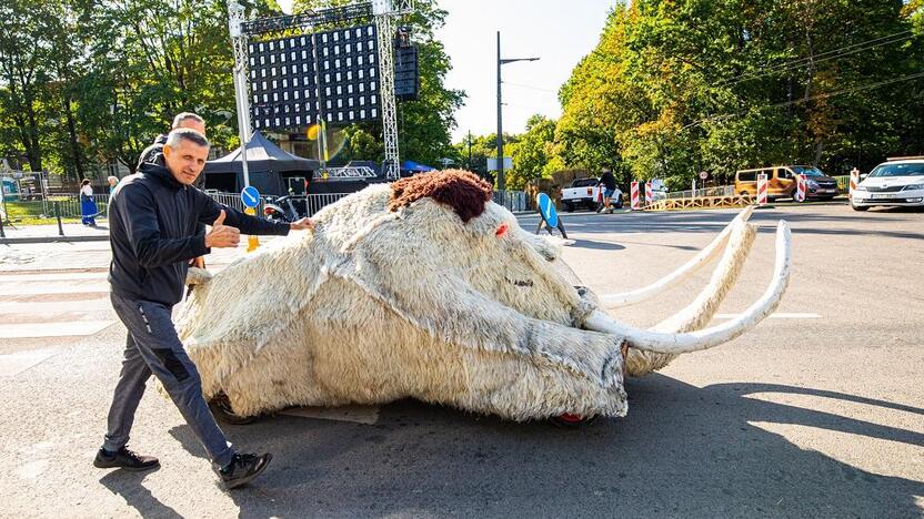 Pasiruošimas „Red Bull muilinių lenktynėms“