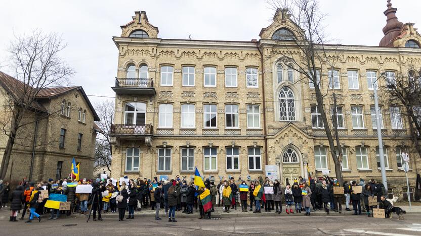 Protestas prie Vokietijos ambasados už sankcijų taikymą Rusijai 