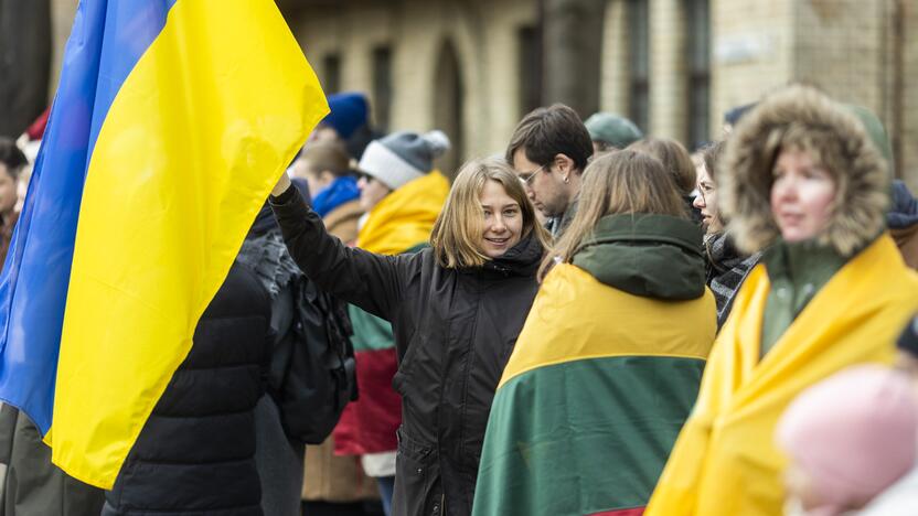 Protestas prie Vokietijos ambasados už sankcijų taikymą Rusijai 