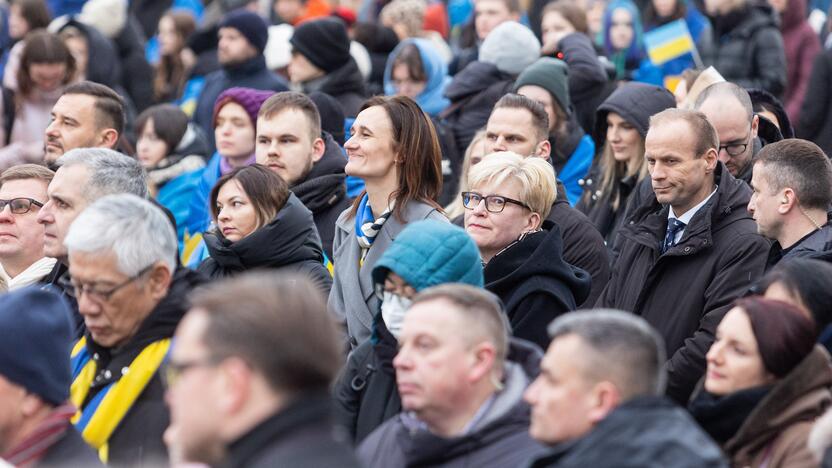 Mitingas ir eitynės Ukrainai palaikyti