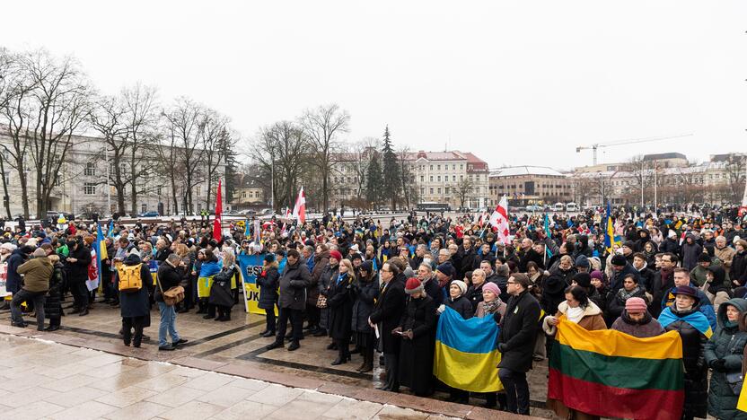 Mitingas ir eitynės Ukrainai palaikyti