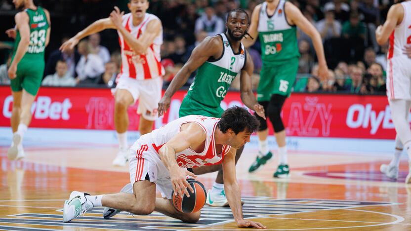 Eurolyga: Kauno „Žalgiris“  –  Belgrado „Crvena Zvezda“ 79:74