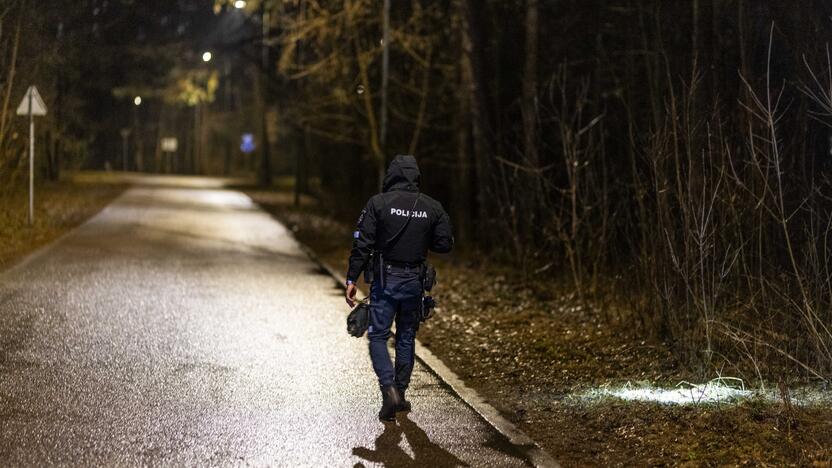 Vilniuje užpultas A. Navalno bendražygis L. Volkovas