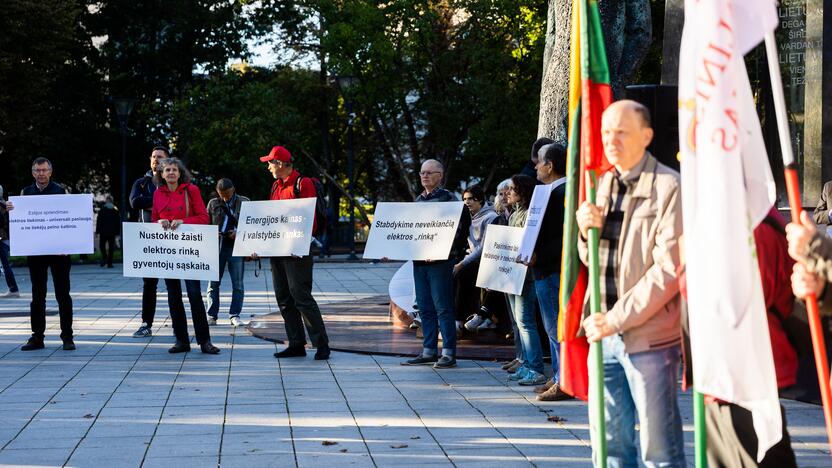 Nacionalinio susivienijimo surengta protesto akcija