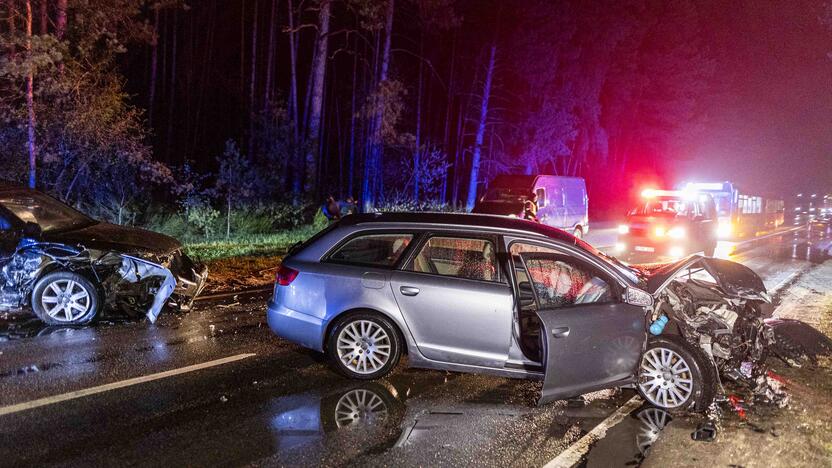 Nemenčinės plente – dviejų „Audi“ automobilių avarija