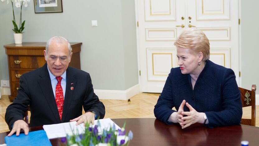 Angelas Gurria ir Dalia Grybauskaitė