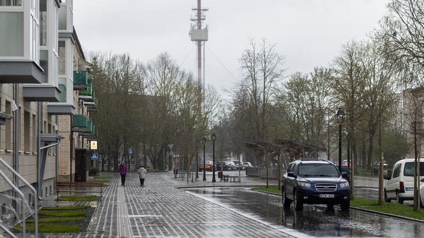 Baisogala ir jos apylinkės, kur planuojama statyti „Rheinmetall“ gamyklą