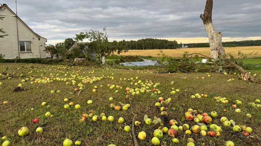 Viesulo padariniai Šiaulių rajone