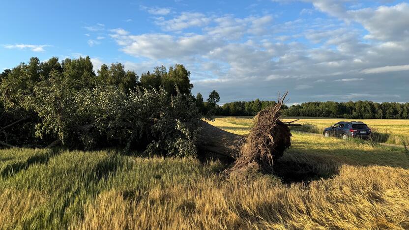 Viesulo padariniai Šiaulių rajone