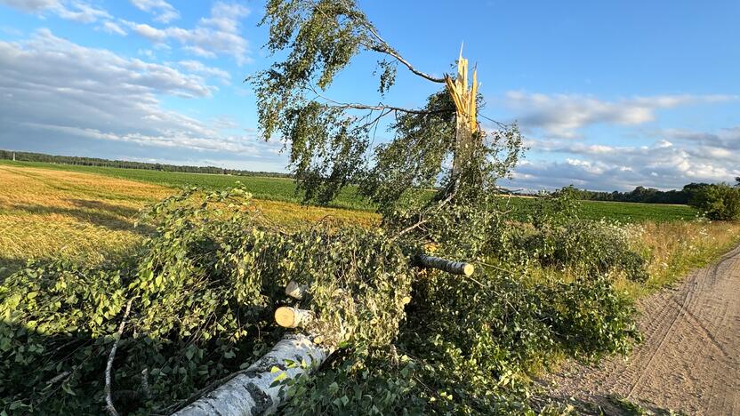 Viesulo padariniai Šiaulių rajone