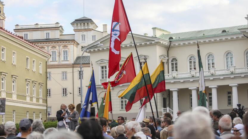 Mitingas S. Daukanto aikštėje