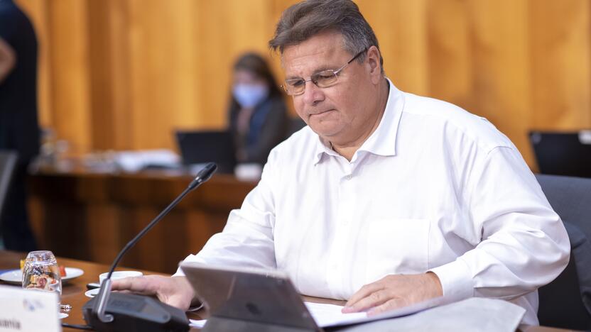 Linas Linkevičius