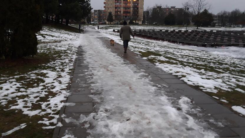 Ši moteris savo augintinio išmatas surinko