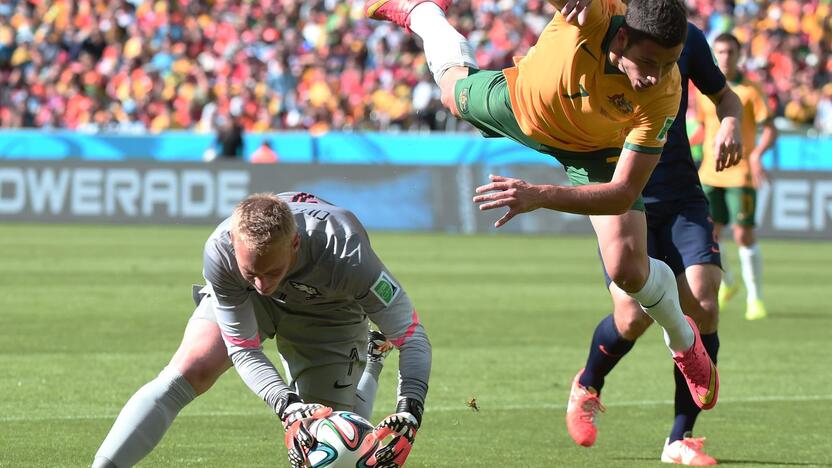 Pasaulio futbolo čempionatas: Olandija - Australija