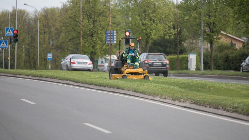 Vilniuje prasidėjo žolės šienavimas