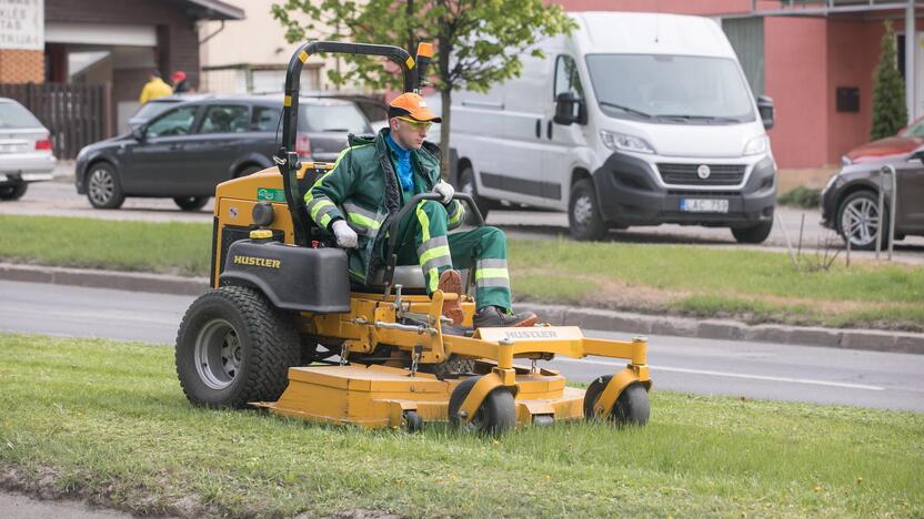 Vilniuje prasidėjo žolės šienavimas