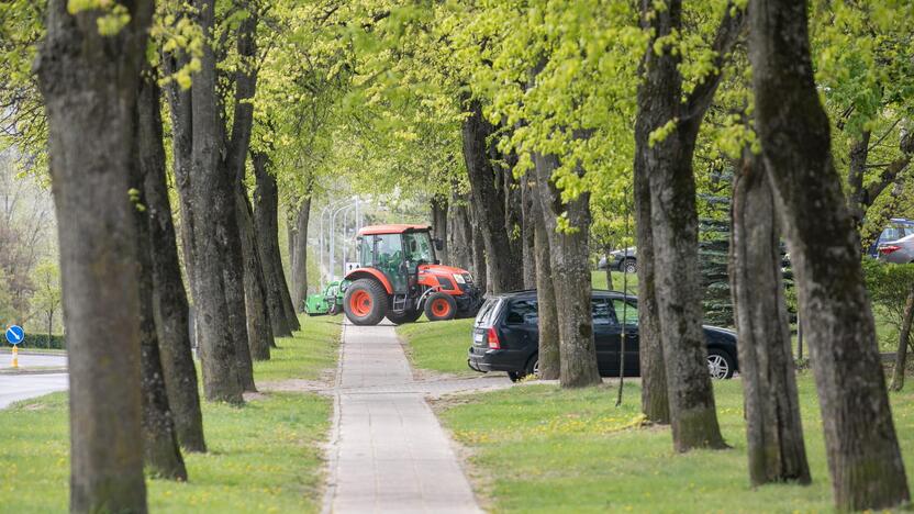 Vilniuje prasidėjo žolės šienavimas