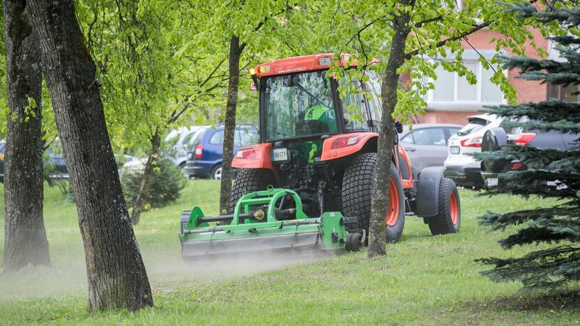 Vilniuje prasidėjo žolės šienavimas