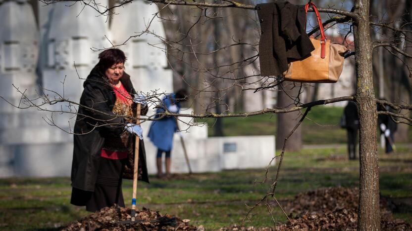 Pavasarinė talka Kaune