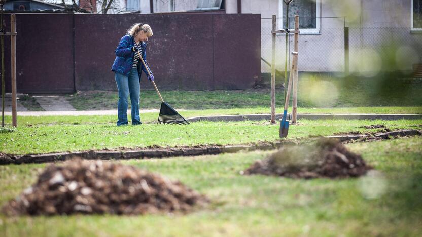 Pavasarinė talka Kaune