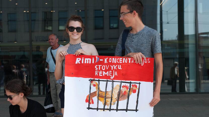 Vištų gynėjų protestas Kaune