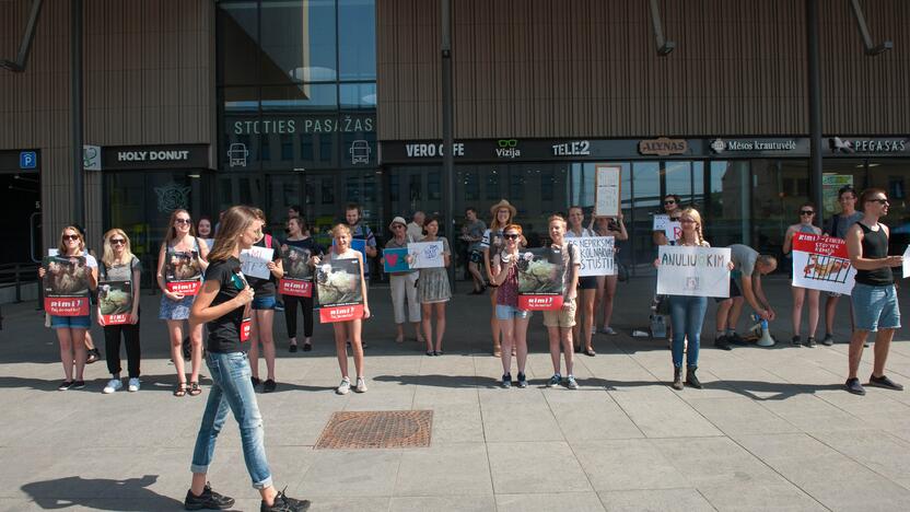 Vištų gynėjų protestas Kaune