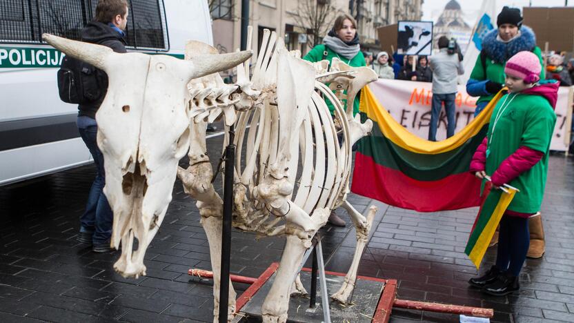 Pieno gamintojų protesto akcija