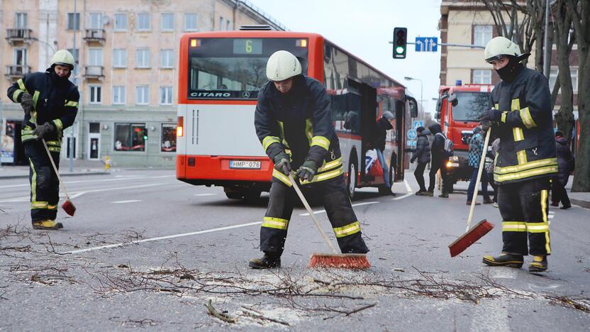 Padariniai: gerokai įsismarkavęs ir dėl to su Anatolijumi jau lyginamas Feliksas visą savaitgalį ugniagesiams gelbėtojams kėlė daugybę rūpesčių. Prie Muzikinio teatro jiems teko nupjauti medį, kuris bet kurią akimirką galėjo nulūžti.