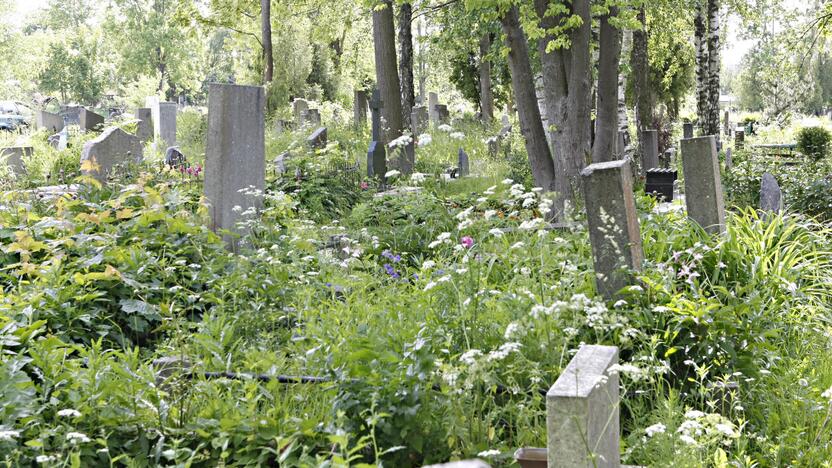 Situacija: kai kurie Joniškės kapinėse esantys kapai yra apaugę aukšta žole.