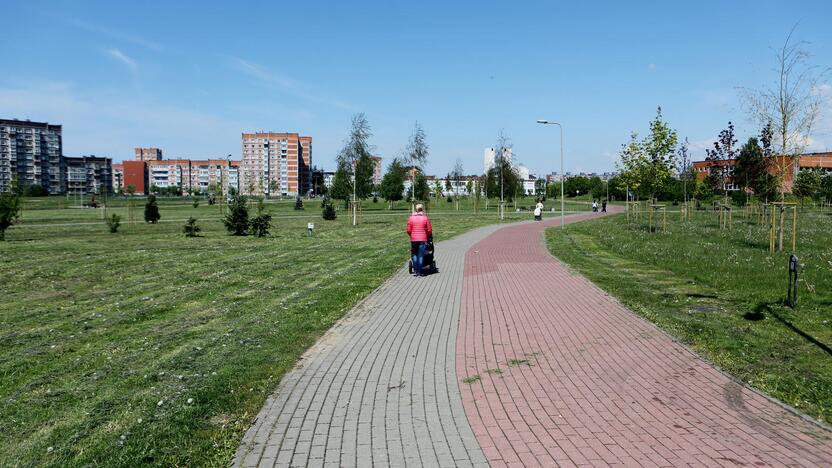 Laikas: tikimasi, kad darbai reprezentacinėje Sąjūdžio parko dalyje prasidės dar šiemet.