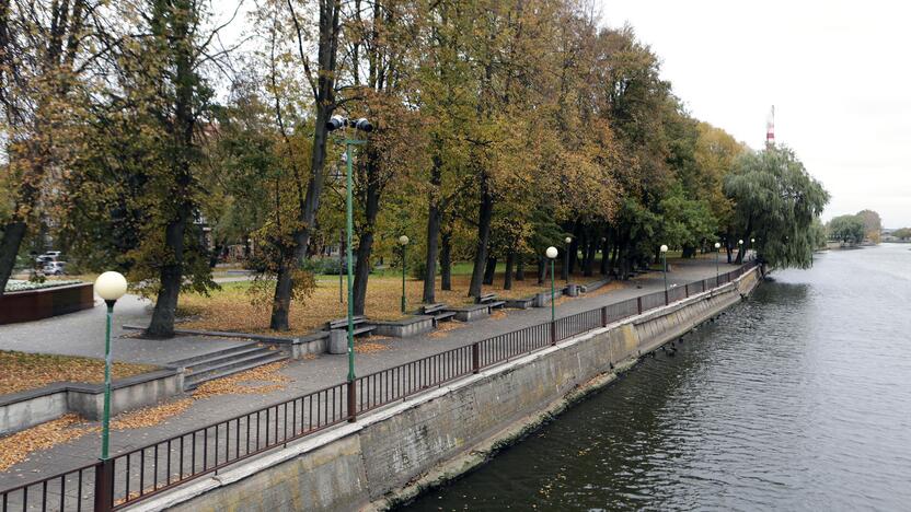 Situacija: viešojoje erdvėje kalbama apie kelis vardus, kurie galėtų būti suteikti Danės skverui, tačiau oficialaus pasiūlymo niekas nepateikė.