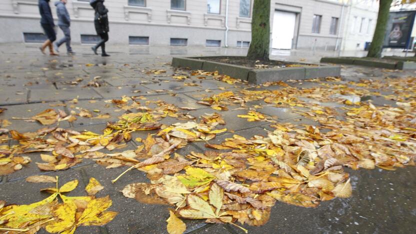 Situacija: šlapi lapai kelia grėsmę pėstiesiems.