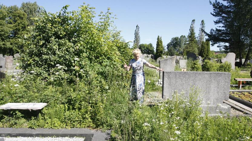 Joniškės kapinėse šalia klaipėdietės tėvų kapavietės esantis kapas netvarkomas dešimtmečius. Ši vieta virto šabakštynu, iš kurio medžių šaknys skverbiasi ir į aplinkines palaidojimo vietas.