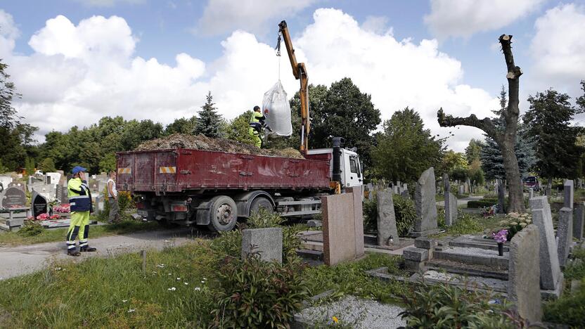 Pašalins: Joniškės kapinėse sparčiai vyksta želdinių tvarkymo darbai. Žadama iškirsti kelis šimtus medžių ir krūmų.