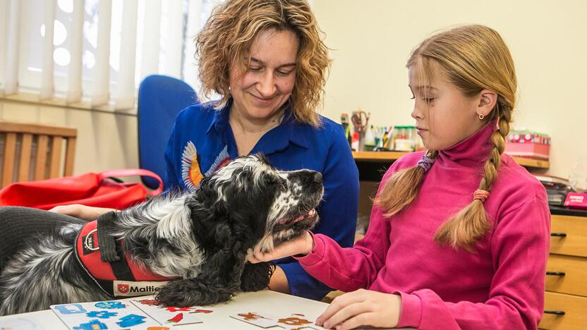 Komanda: guvi ir draugiška kokerspanielė Klaipėdos Litorinos mokykloje besimokantiems vaikams suteikia daug džiaugsmo ir motyvacijos.