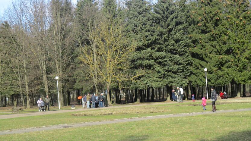 Kauniečiai užplūdo Draugystės parką