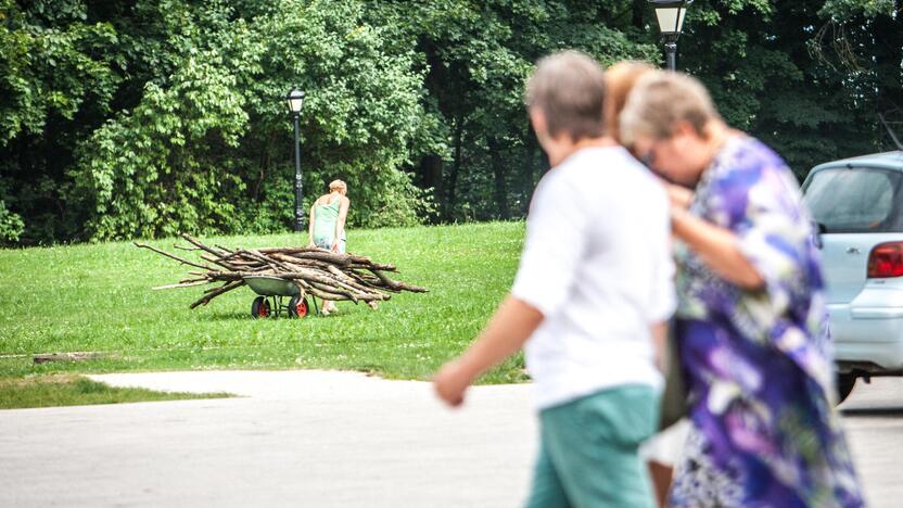 Landart meno kūrimas Raudondvario dvaro parke