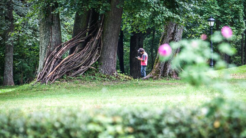 Landart meno kūrimas Raudondvario dvaro parke