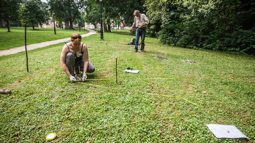 Landart meno kūrimas Raudondvario dvaro parke