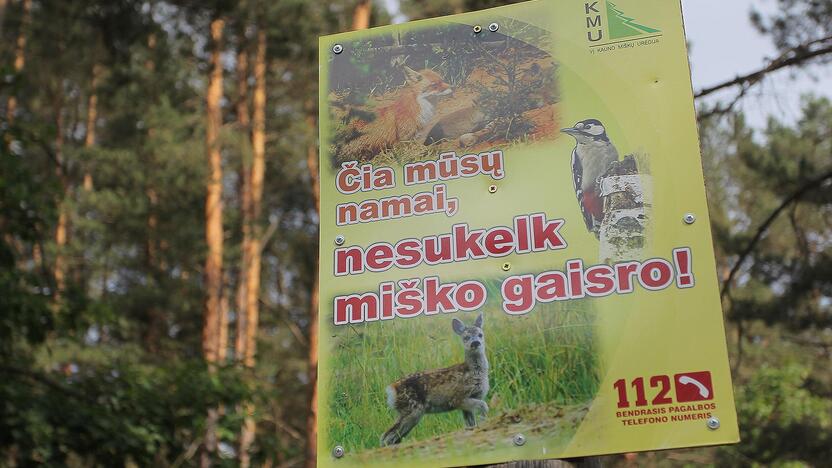 Miškuose – padidėjęs gaisrų pavojus