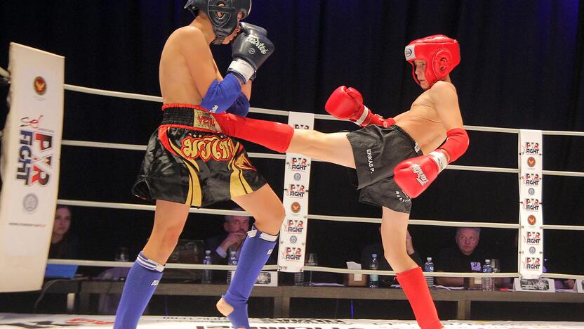 Tarptautinis muay thai turnyras „Powerfight“