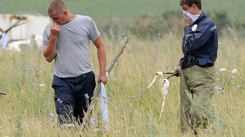 Malaizijos lėktuvo katastrofa Ukrainoje