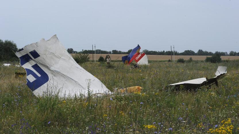 Malaizijos lėktuvo katastrofa Ukrainoje