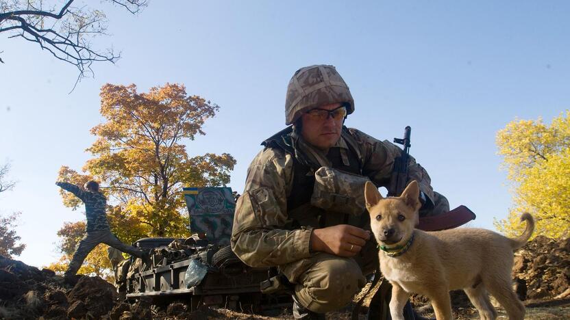 Ukrainos kariai per paliaubas