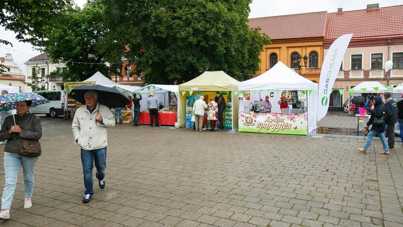 Maisto festivalis "Skanaus" lietingą šeštadienį