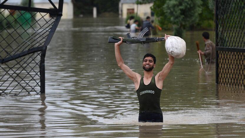 Liūtys Pakistane ir Indijoje