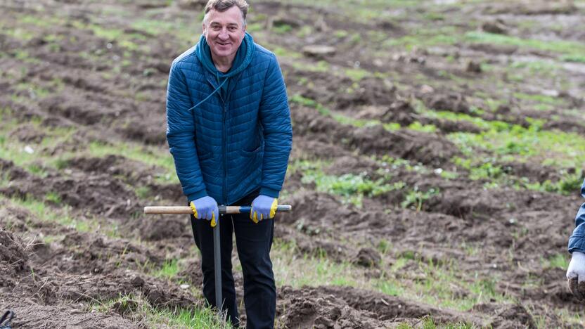 Medelių sodinimo talka Lampėdžiuose ir Panemunėje