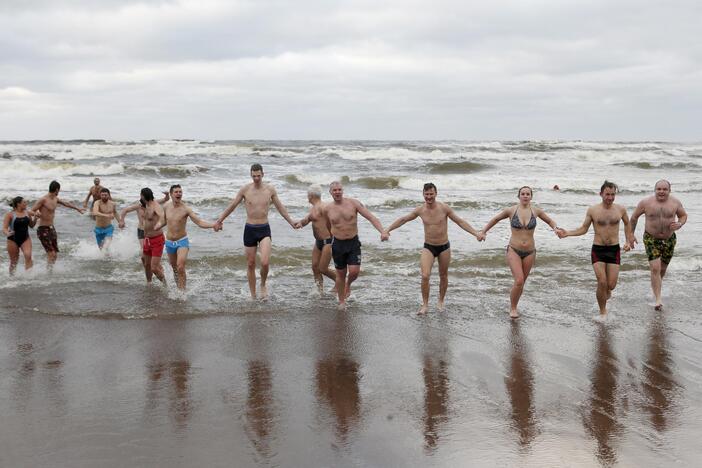 Ruonių maudynės Baltijos jūroje